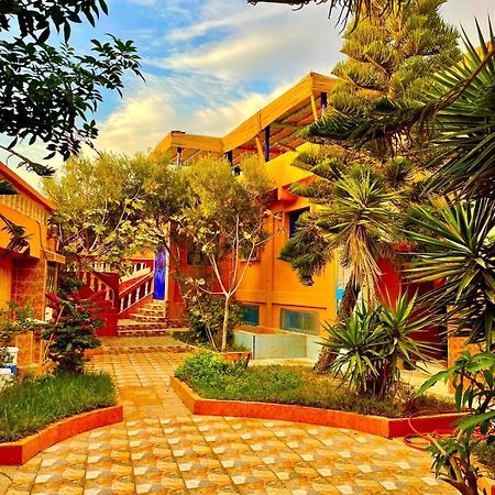 Surf & Salsa Ocean House Bed & Breakfast Tamraght Dış mekan fotoğraf