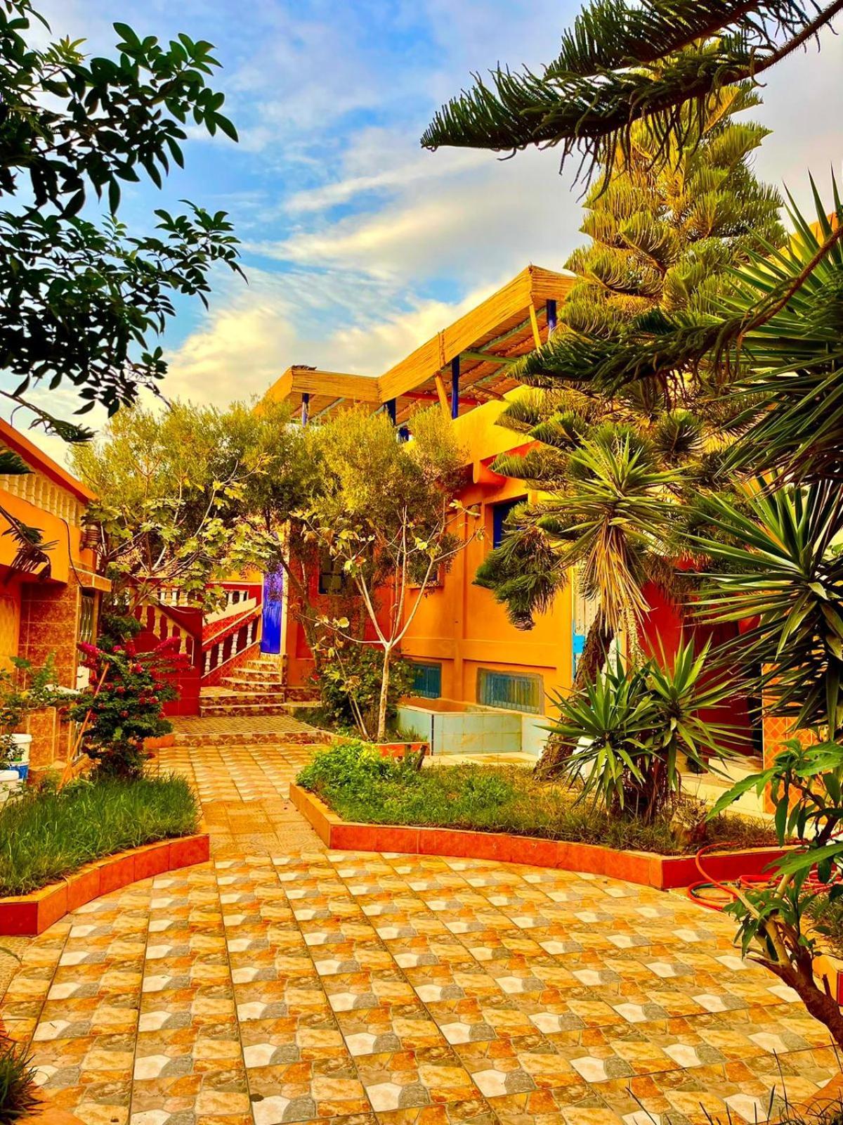 Surf & Salsa Ocean House Bed & Breakfast Tamraght Dış mekan fotoğraf