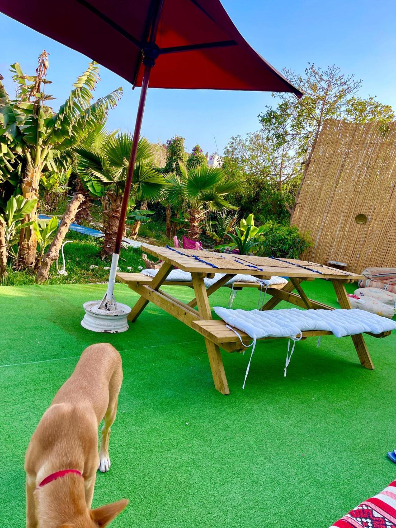 Surf & Salsa Ocean House Bed & Breakfast Tamraght Dış mekan fotoğraf